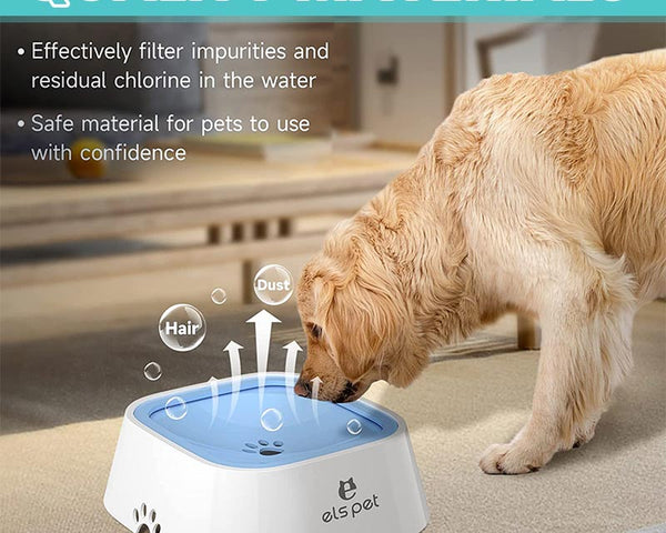 SpillFree™ - Sauberes Trinken für Haustiere