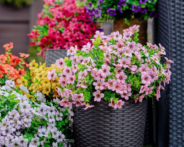 BloomEver – Farbenfrohe Kunstblumen für drinnen und draußen