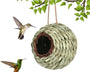 NestHaven – Biete Kolibris ein sicheres Zuhause für jedes Jahr