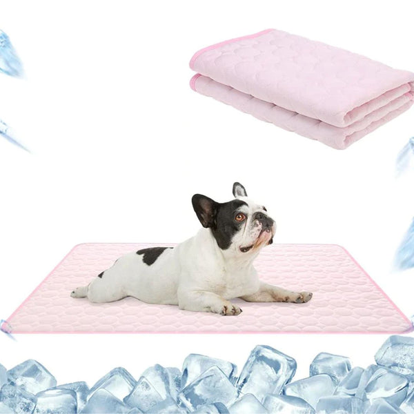 🐾 50% RABATT! ❄️ Premium Kühlmatte für Hunde & Katzen