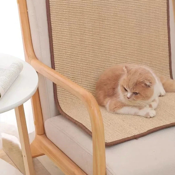 Scratchy™ – Der perfekte Kratzspaß für deine Katze und deine Möbel!