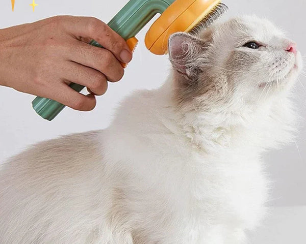 50% Rabatt | PetBrush™ Selbstreinigende Haarbürste