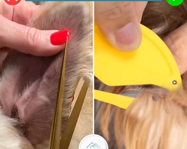 PetSanity™ - Der sichere, dauerhafte und wirksame Milbenentferner für Katzen und Hunde [Letzter Tag Rabatt]