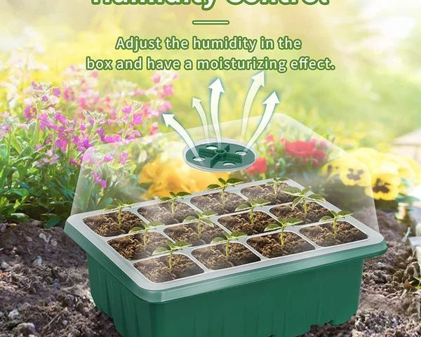 EasySprout™ - Praktische Saatgut Starterschale für Erfolgreiches Pflanzenwachstum