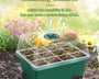 EasySprout™ - Praktische Saatgut Starterschale für Erfolgreiches Pflanzenwachstum