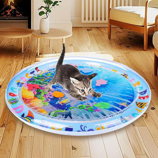 AquaPaws – Das ultimative Spielvergnügen für Katzen