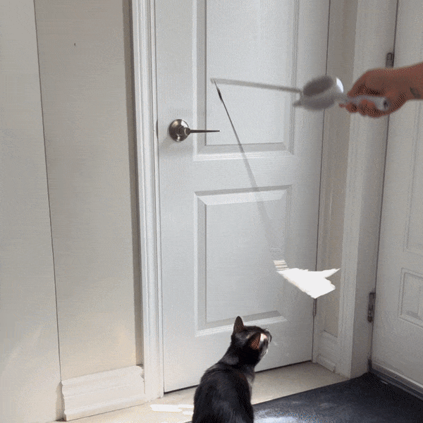ProGroom™ - 5-in-1 Katzenbürste für Pflege und Fellentfernung