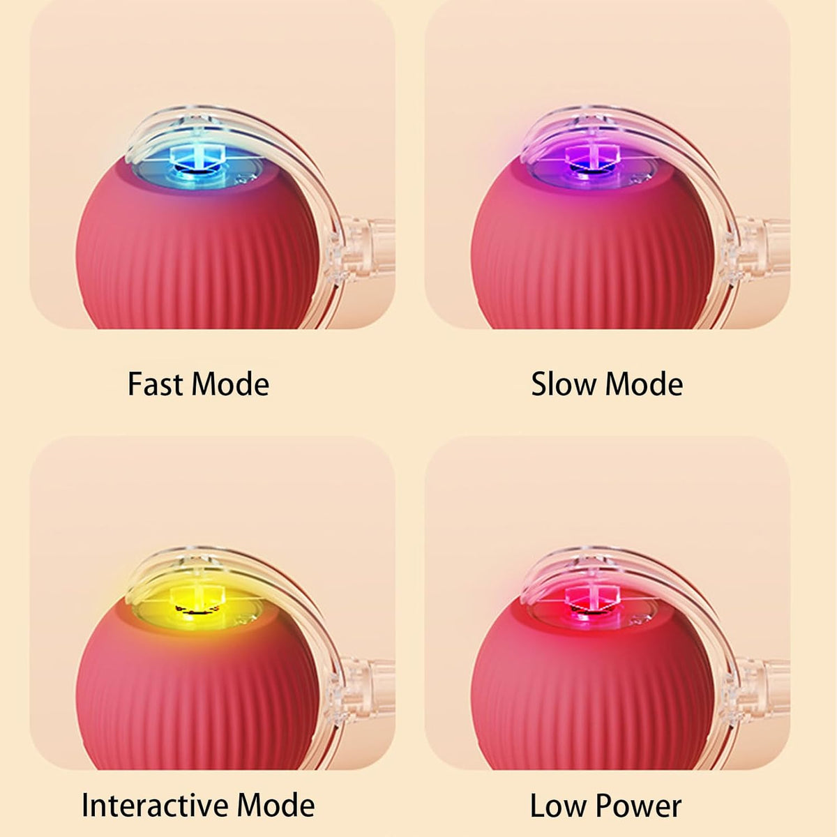 1+1 GRATIS | AutoPaws - Automatische, sich selbst bewegende Aktion