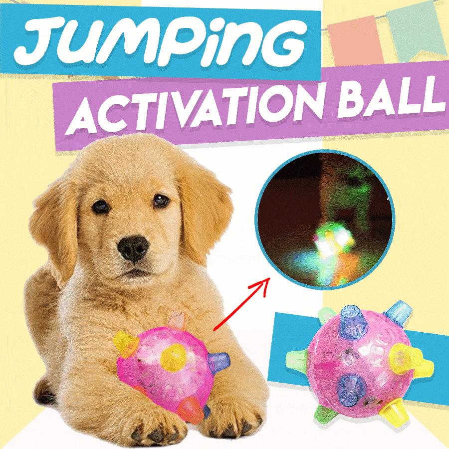 1+1 GRATIS | BounceBuddy™ – Der interaktive Hüpfball für Hunde!