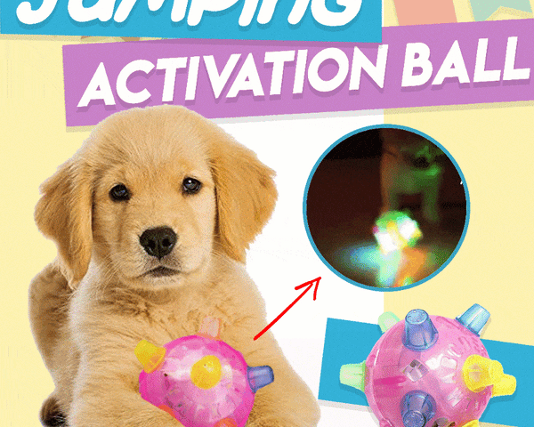 1+1 GRATIS | BounceBuddy™ – Der interaktive Hüpfball für Hunde!