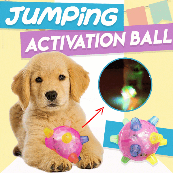 1+1 GRATIS | BounceBuddy™ – Der interaktive Hüpfball für Hunde!