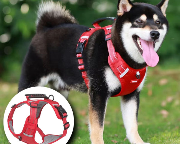 TailMate™ - Das bequeme Hundegeschirr