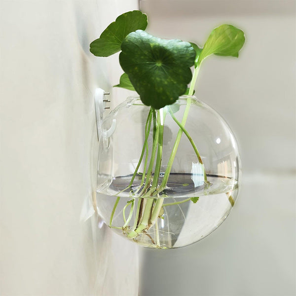 1+1 GRATIS | FlowerCrest - Kreative Vase für die Wandmontage
