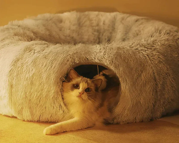CatTunnel™ - Verwöhne dein Haustier und befriedige seinen Spieltrieb!