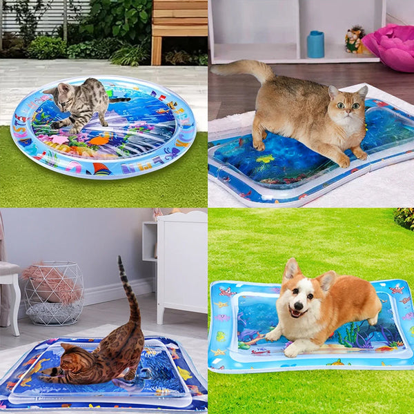 AquaPaws – Das ultimative Spielvergnügen für Katzen