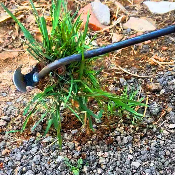 50% RABATT | WeedKiller - Handbuch Garten Unkrautstecher