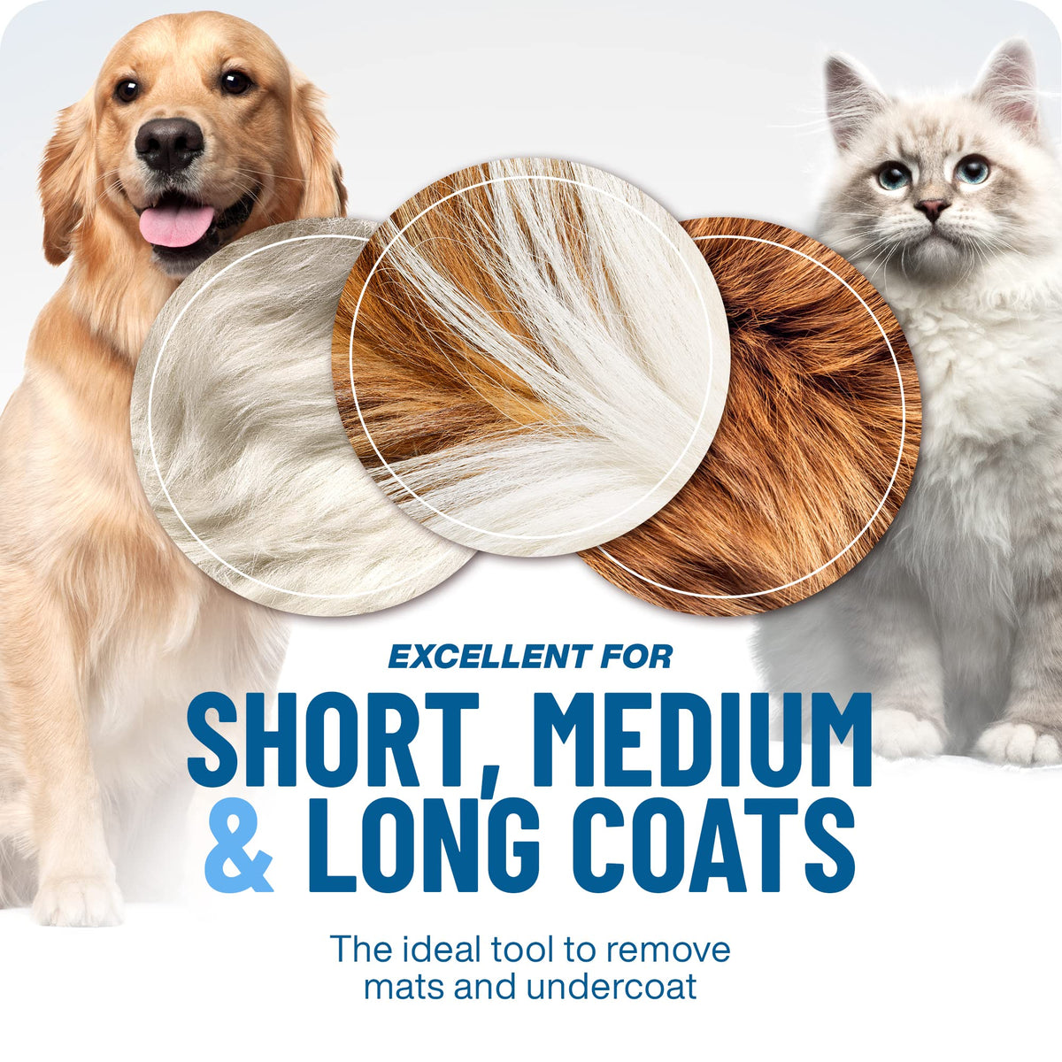 🔥 1+1 GRATIS 🎁 Professionelles Enthaarungs-Tool für Hunde & Katzen