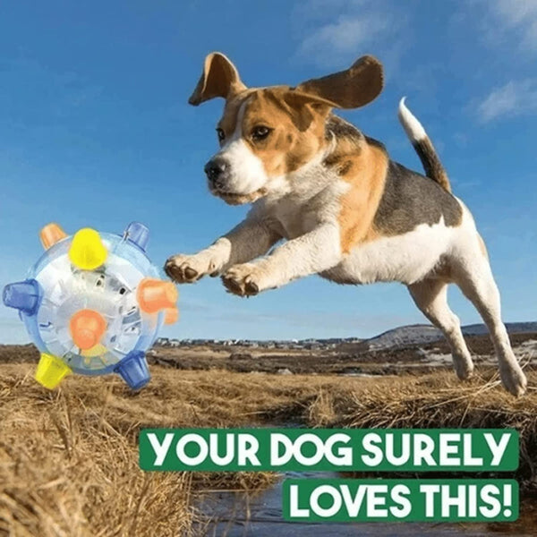 1+1 GRATIS | BounceBuddy™ – Der interaktive Hüpfball für Hunde!