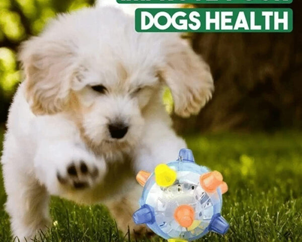 1+1 GRATIS | BounceBuddy™ – Der interaktive Hüpfball für Hunde!