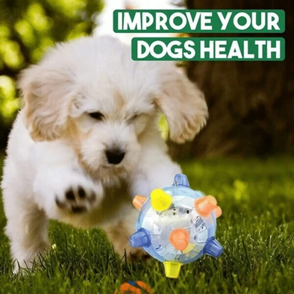 1+1 GRATIS | BounceBuddy™ – Der interaktive Hüpfball für Hunde!