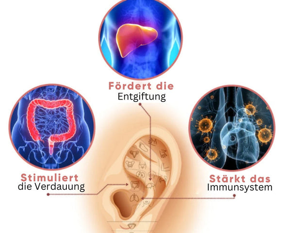 VitalFlow™ Ohrringe