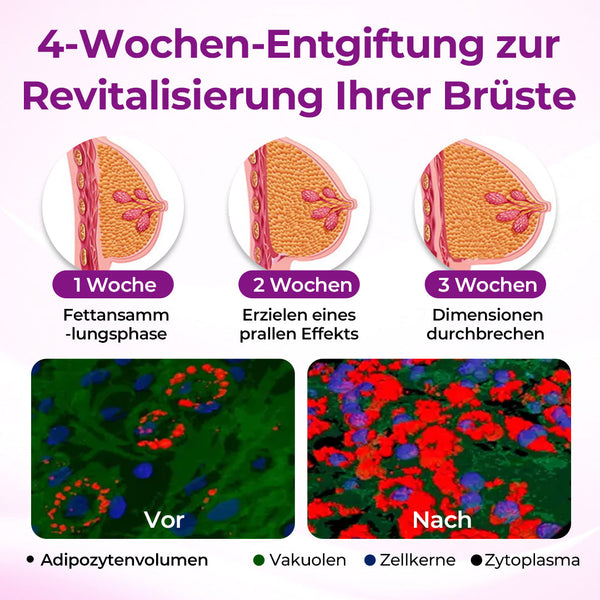 Timilk MaxCurve Formendes & Volumensteigerndes Brustöl