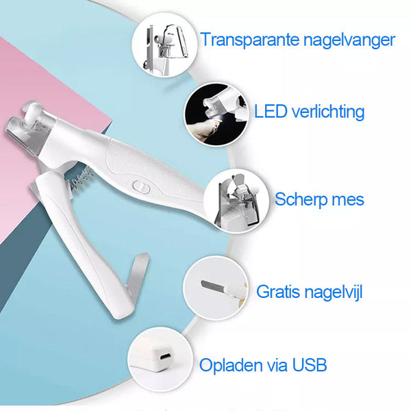 NailGuard – Die sichere Nagelpflege für dein Haustier