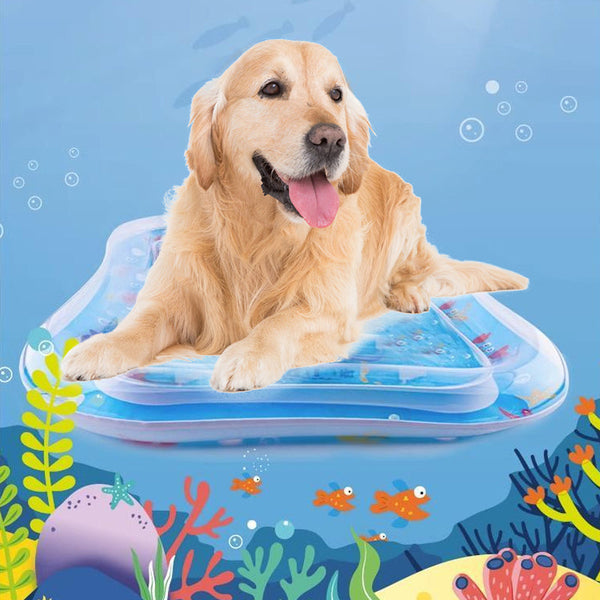 AquaPaws – Das ultimative Spielvergnügen für Katzen