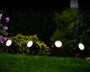 2+3 GRATIS | SolarFocus - Solarstrahler