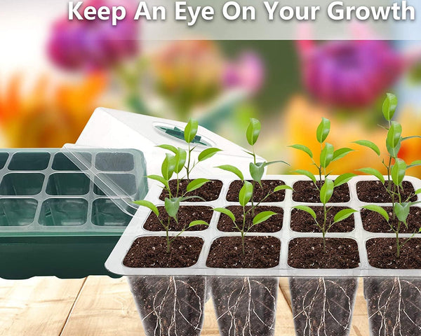 EasySprout™ - Praktische Saatgut Starterschale für Erfolgreiches Pflanzenwachstum