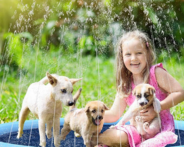 50% RABATT | DogBrunne™ - Halten Sie Ihren treuen Freund an heißen Sommertagen kühl!