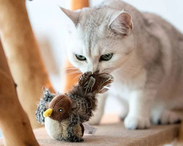 50% RABATT | KittyTweet™ - Simulierter Vogel mit Geräuschen [Letzter Tag Rabatt]