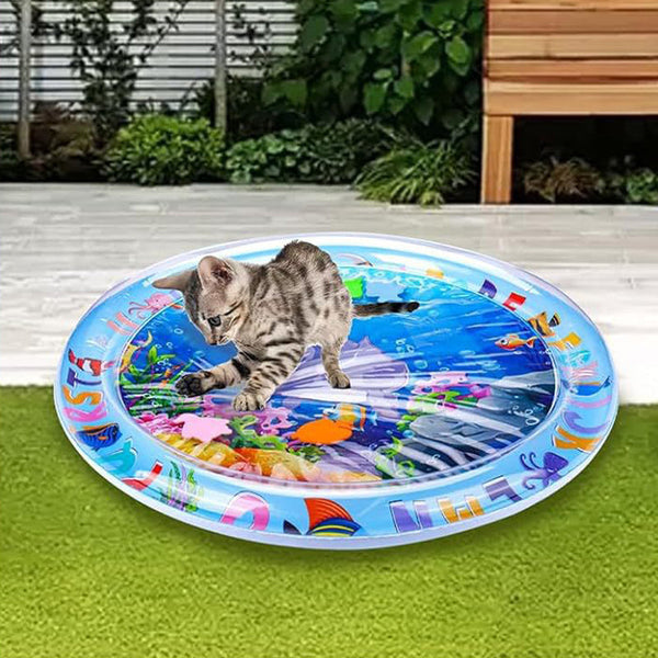 AquaPaws – Das ultimative Spielvergnügen für Katzen