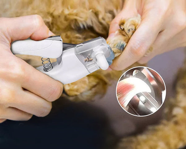 NailGuard – Die sichere Nagelpflege für dein Haustier