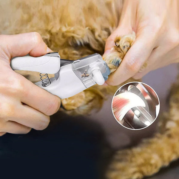 NailGuard – Die sichere Nagelpflege für dein Haustier