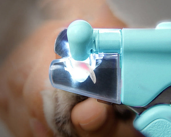 NailGuard – Die sichere Nagelpflege für dein Haustier