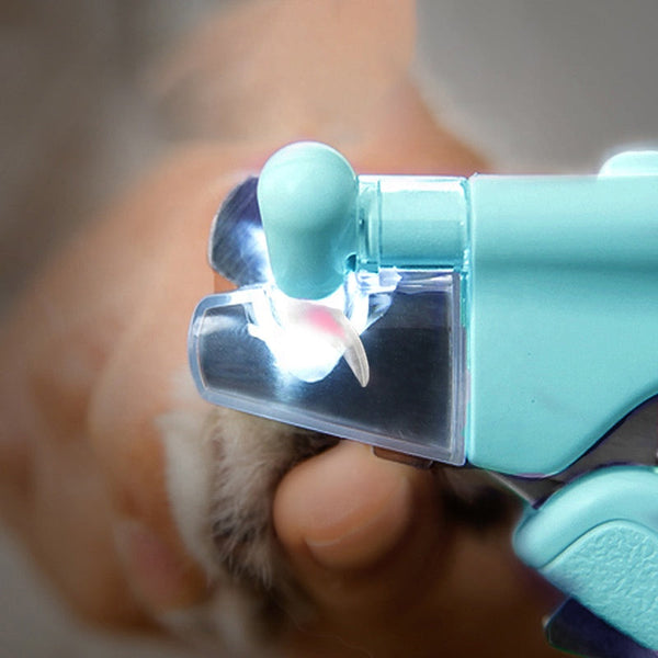 NailGuard – Die sichere Nagelpflege für dein Haustier