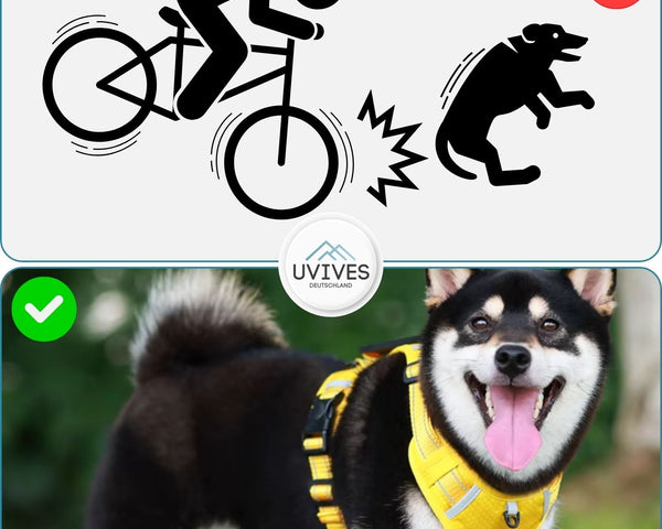 TailMate™ - Das bequeme Hundegeschirr