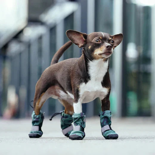 PetShoe™ - Komfortable Hundeschuhe für Schutz | 2+2 GRATIS!