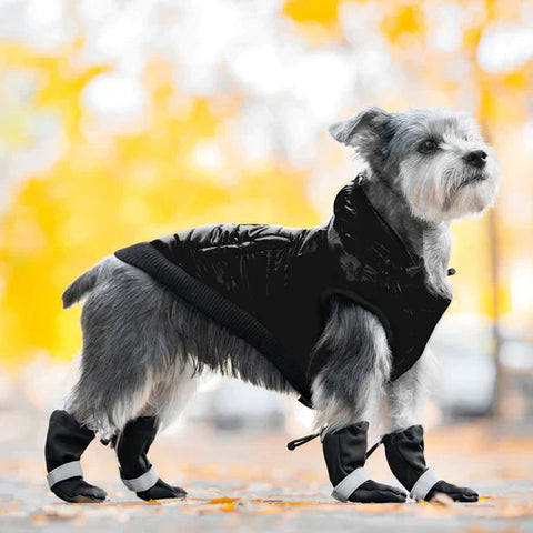 PetShoe™ - Komfortable Hundeschuhe für Schutz | 2+2 GRATIS!