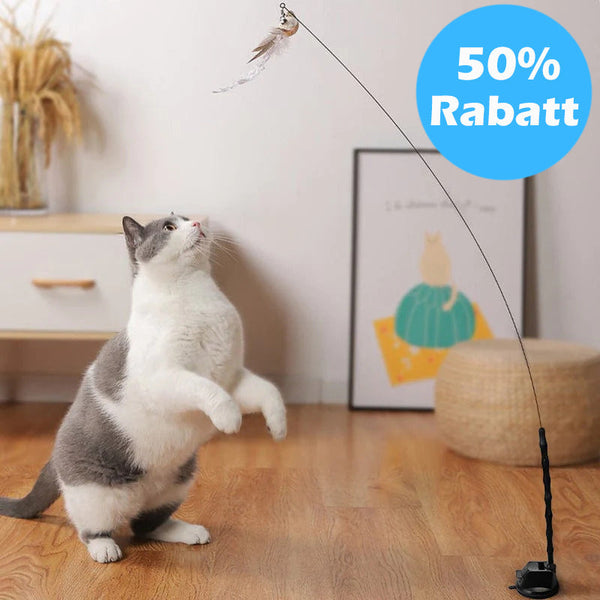EasyCatch™ - Das interaktive Katzenspielzeugset für den natürlichen Jagdinstinkt! | 50% RABATT