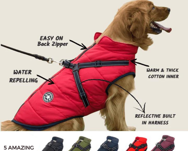 DoggyKönig™ 3 in 1 Jacket
