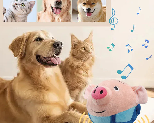 PawMotion – Stundenlanges Spielen ohne Langeweile