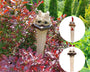 CluckyCharm - Die witzige Gartendeko mit Charakter!