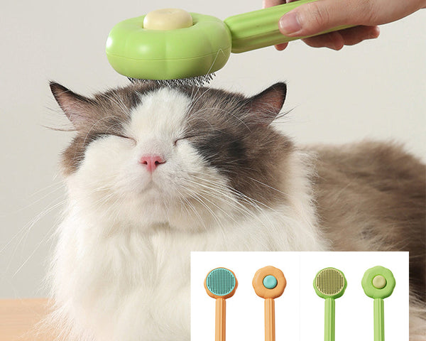 50% Rabatt | PetBrush™ - Selbstreinigender Nadelkamm für Sanfte Haustierpflege und Glänzendes Fell!