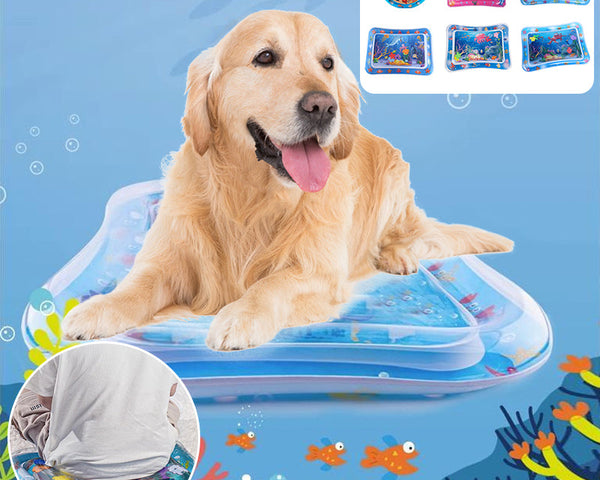 AquaPaws – Das ultimative Spielvergnügen für Katzen