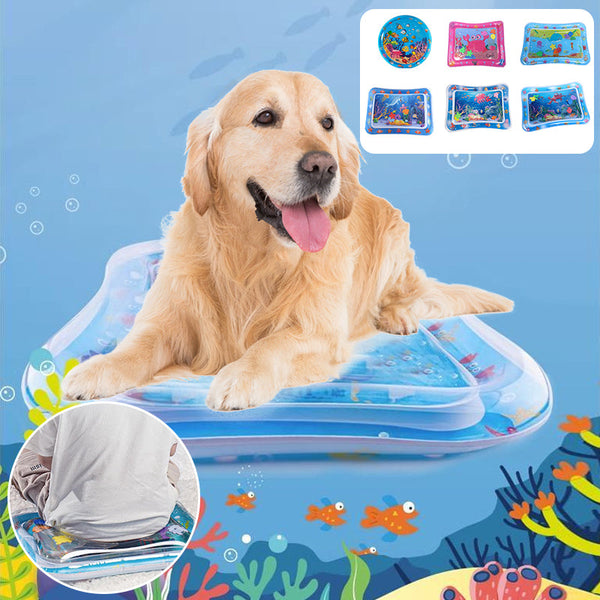 AquaPaws – Das ultimative Spielvergnügen für Katzen