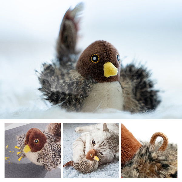 50% RABATT | BirdToy™ - Der sichere Spielgefährte für Ihre Katze! [Letzter Tag Rabatt]