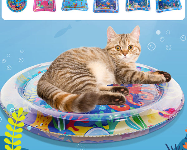 AquaPaws – Das ultimative Spielvergnügen für Katzen