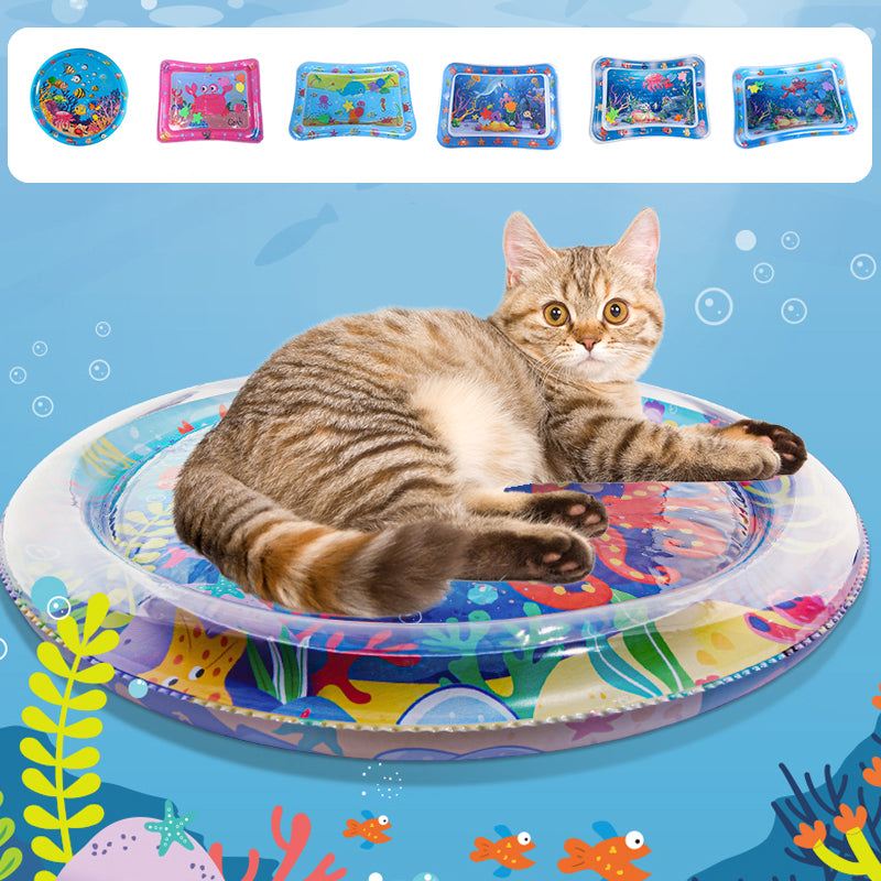 AquaPaws – Das ultimative Spielvergnügen für Katzen